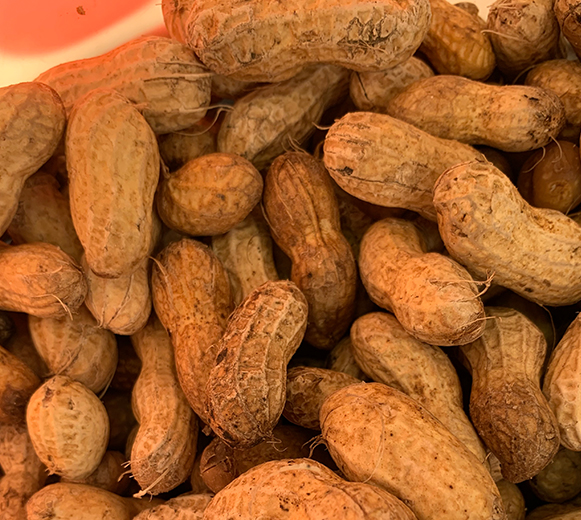 peanut-annual-image